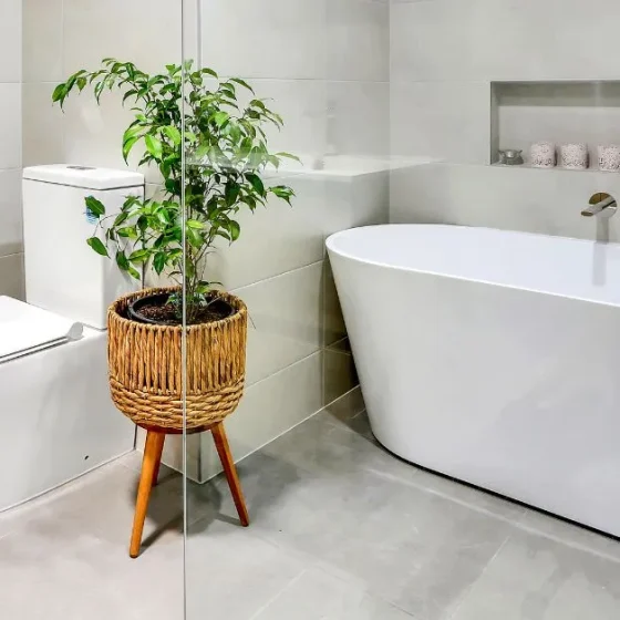 Modern bathroom with freestanding bathtub, indoor plant, and tiled walls – affordable bathroom renovation showcasing clean and professional design.